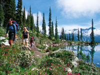 singingpass-c-Tourism-Whistler.jpg